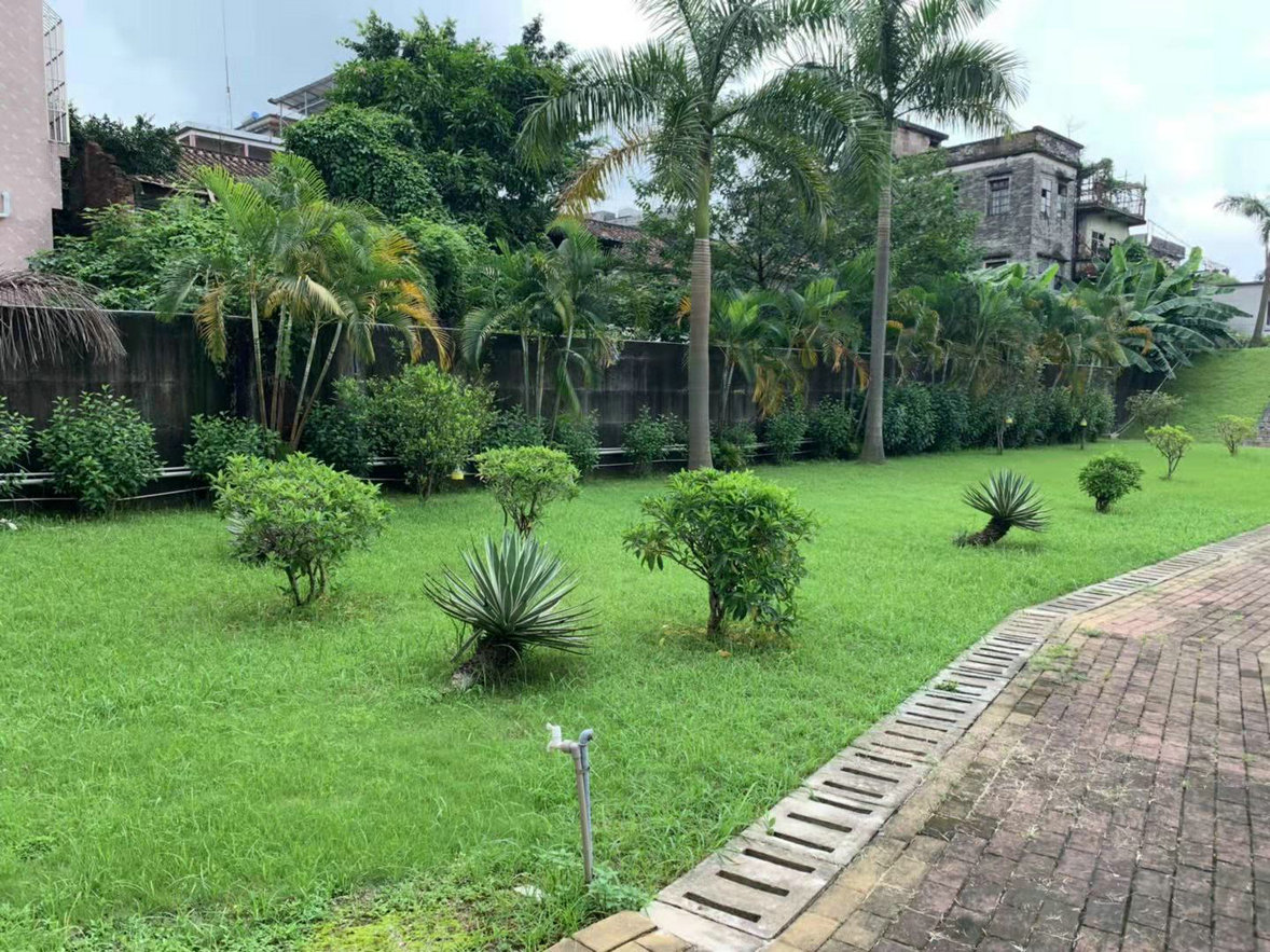 九江堤圍養(yǎng)護(hù)項(xiàng)目